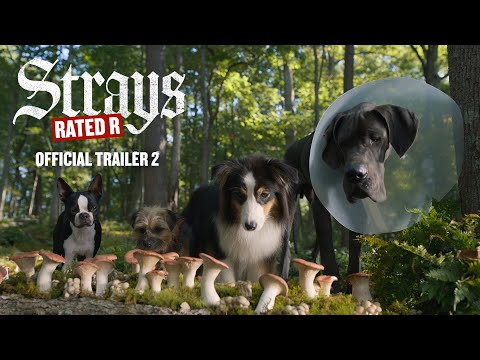 Strays trailer