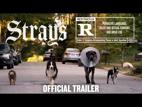 Strays trailer