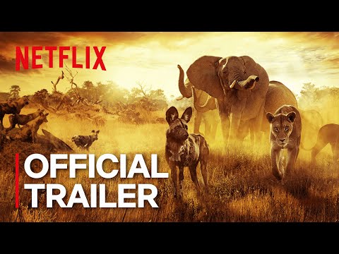 Surviving Paradise: A Family Tale trailer
