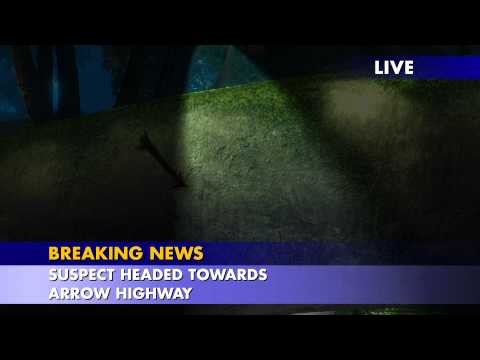Tangled trailer