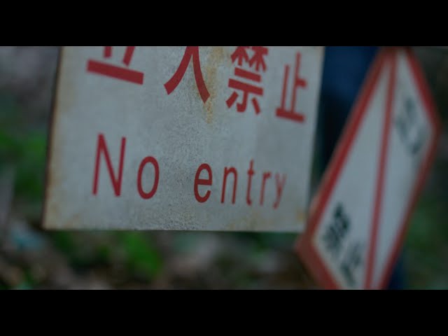 Watch The Forest Theatrical Trailer #2 — Official Trailer