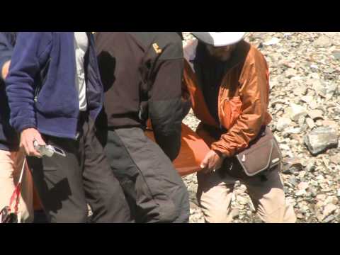 The Summit trailer