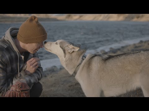 The Year of the Dog trailer