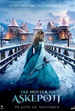 Three Wishes for Cinderella poster