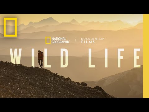 Wild Life trailer