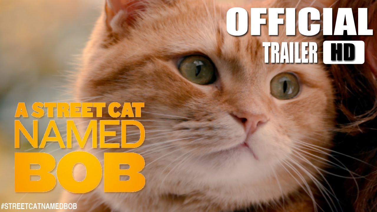 watch A Street Cat Named Bob Theatrical Trailer