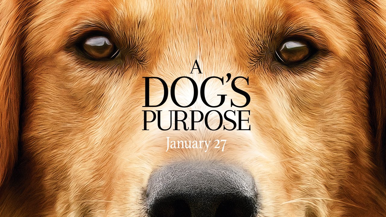 watch A Dog's Purpose Theatrical Trailer