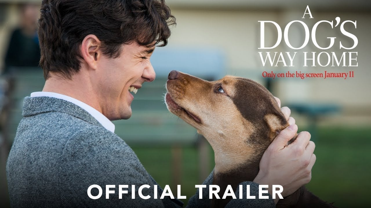 watch A Dog's Way Home Official Trailer
