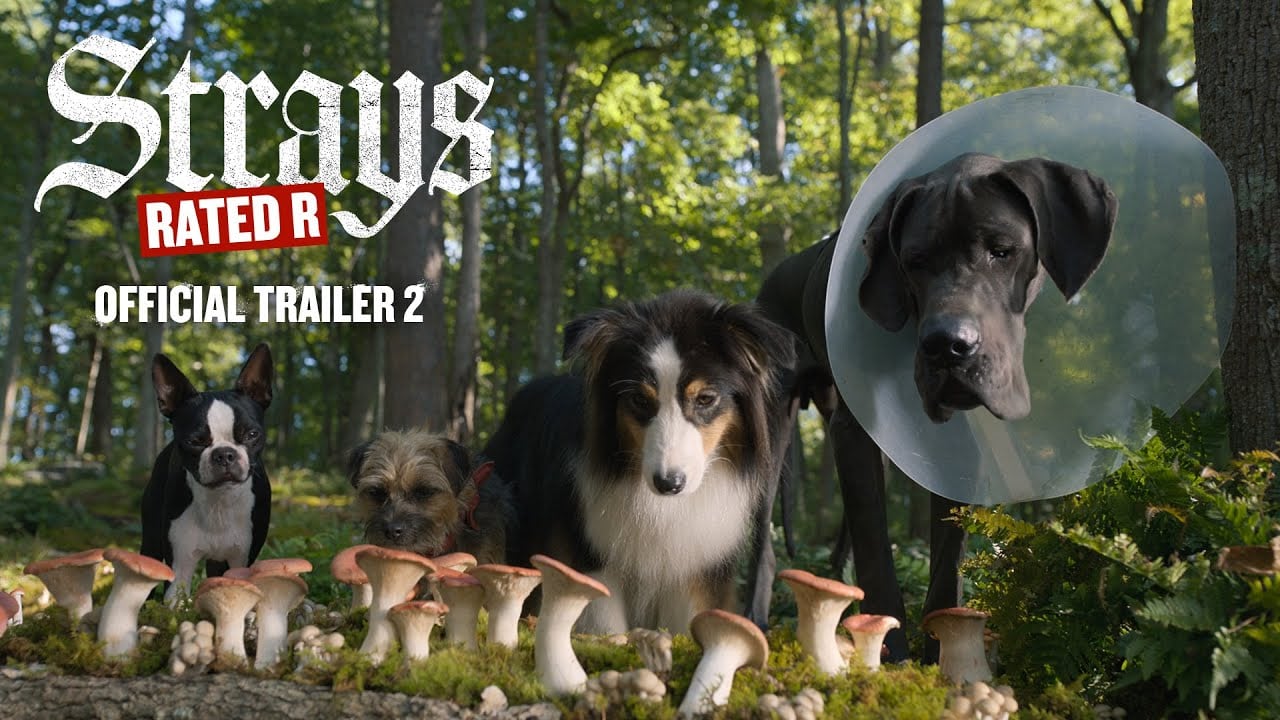 watch Strays Official Trailer #2