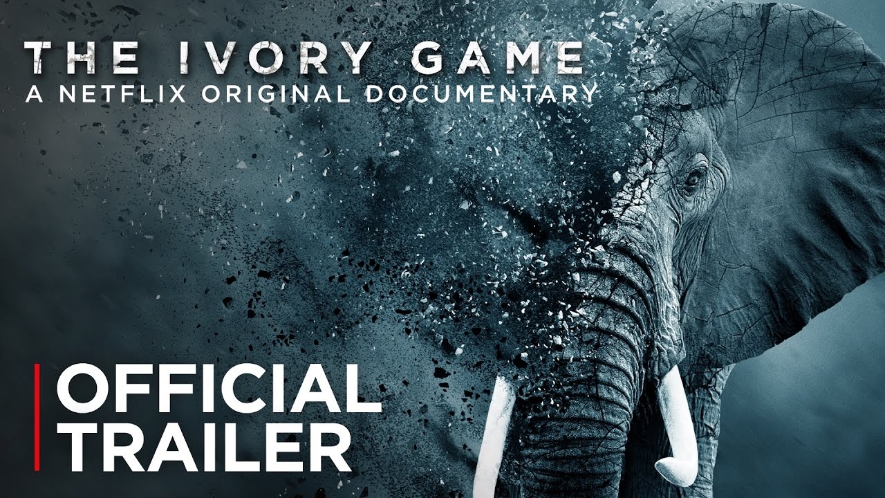 watch The Ivory Game Theatrical Trailer