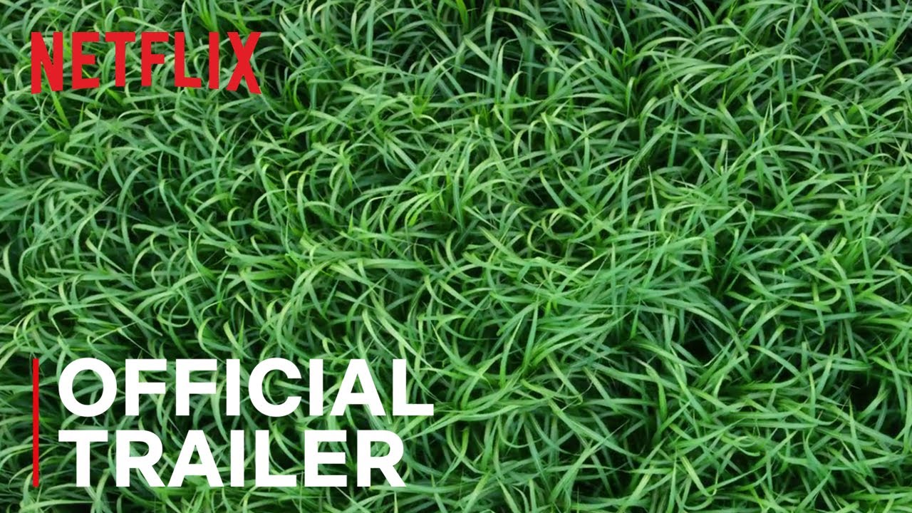watch In The Tall Grass Official Trailer