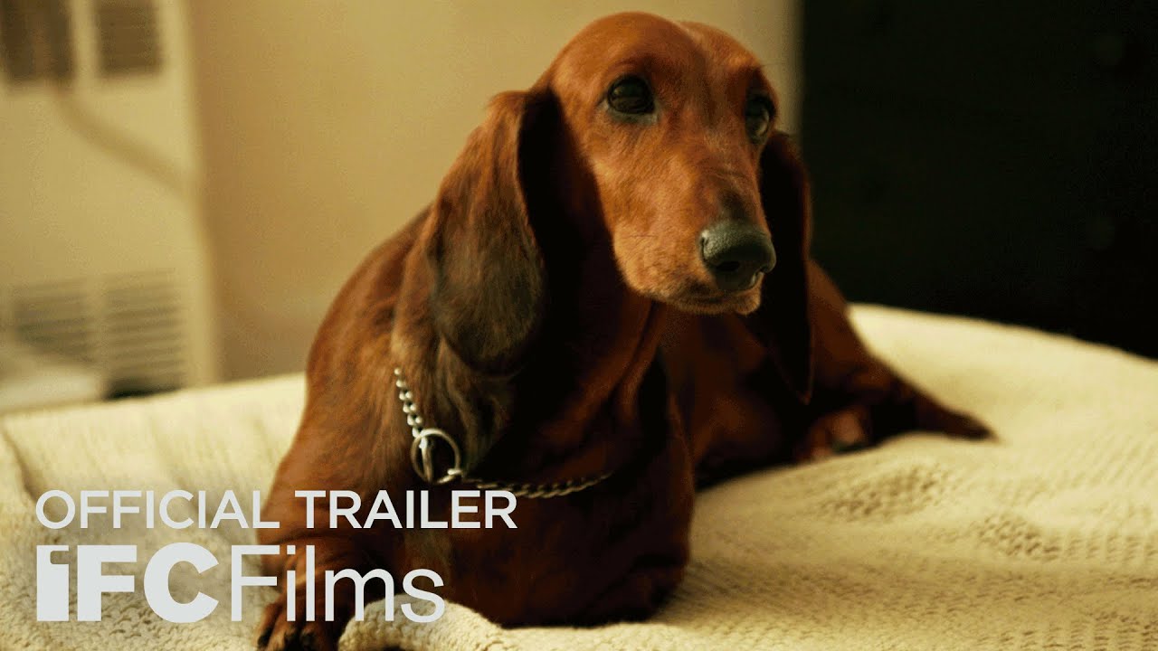 watch Wiener-Dog Theatrical Trailer