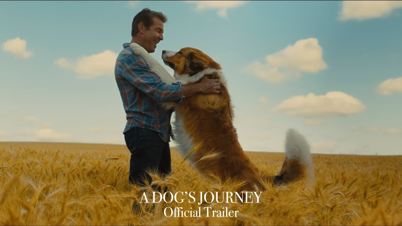 watch A Dog's Journey Official Trailer