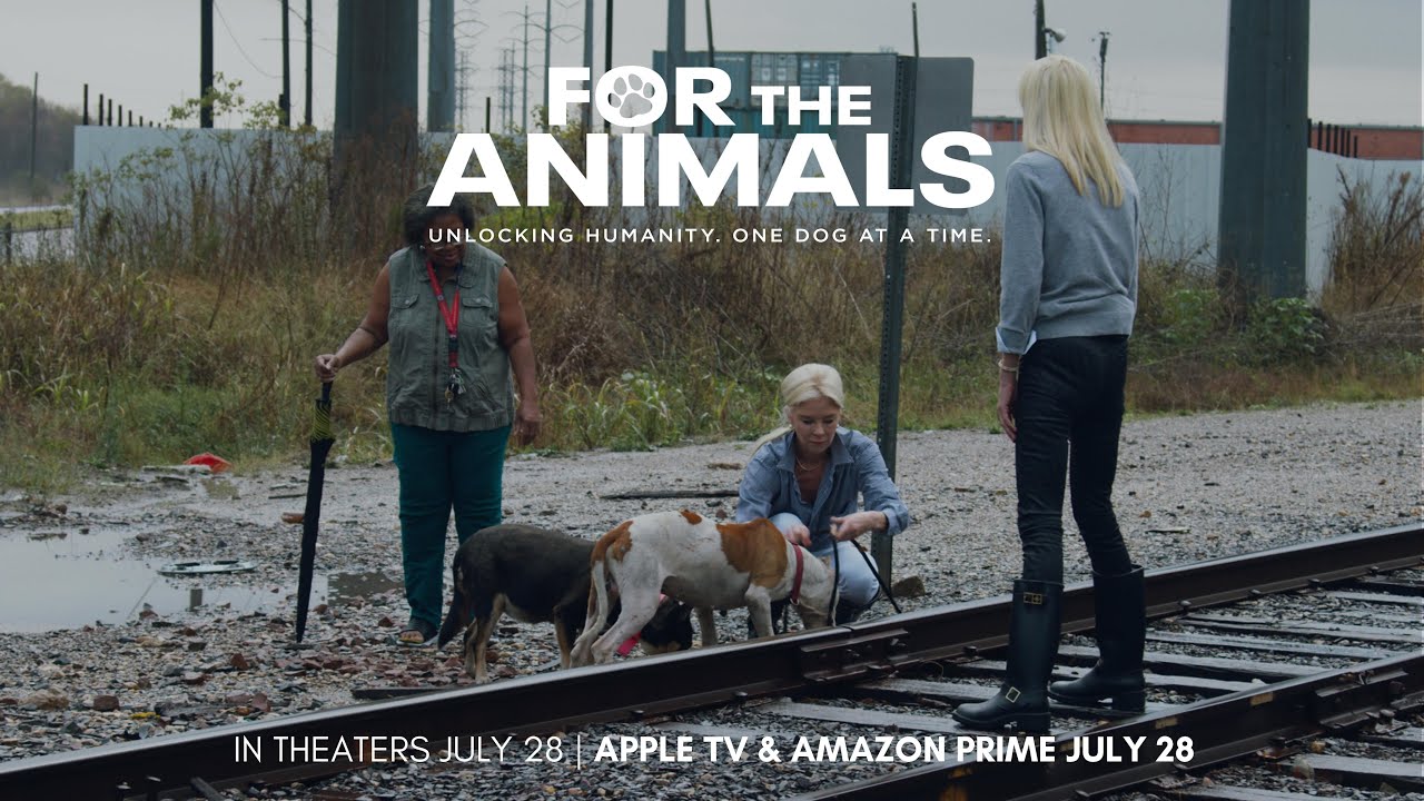 watch For The Animals Official Trailer