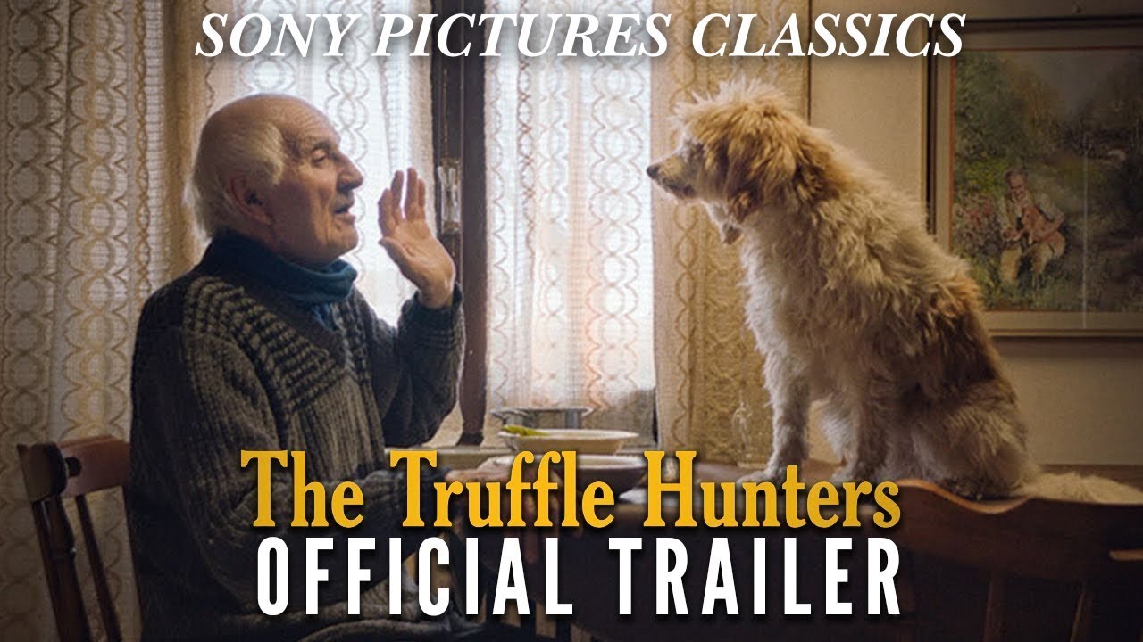 watch The Truffle Hunters Official Trailer