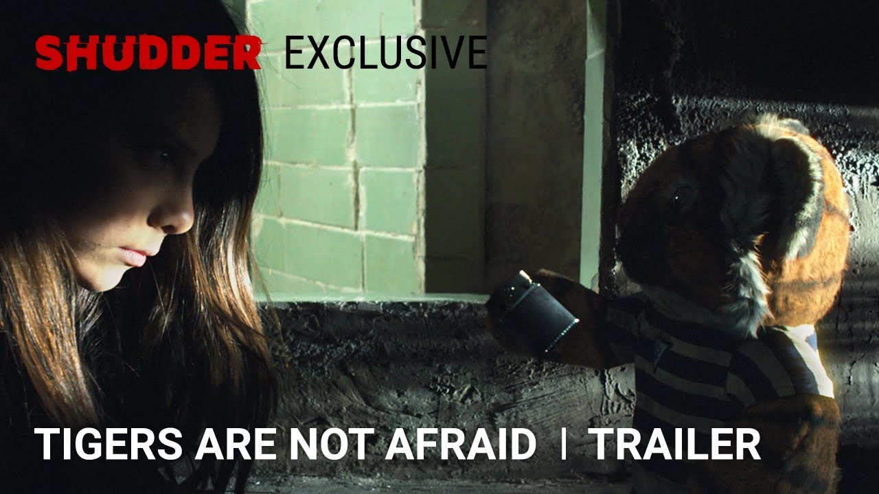 watch Tigers Are Not Afraid Official Trailer