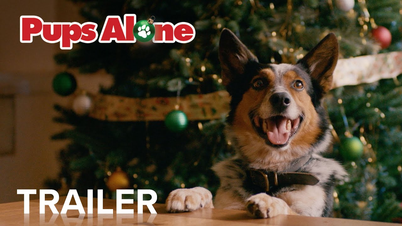watch Pups Alone Official Trailer