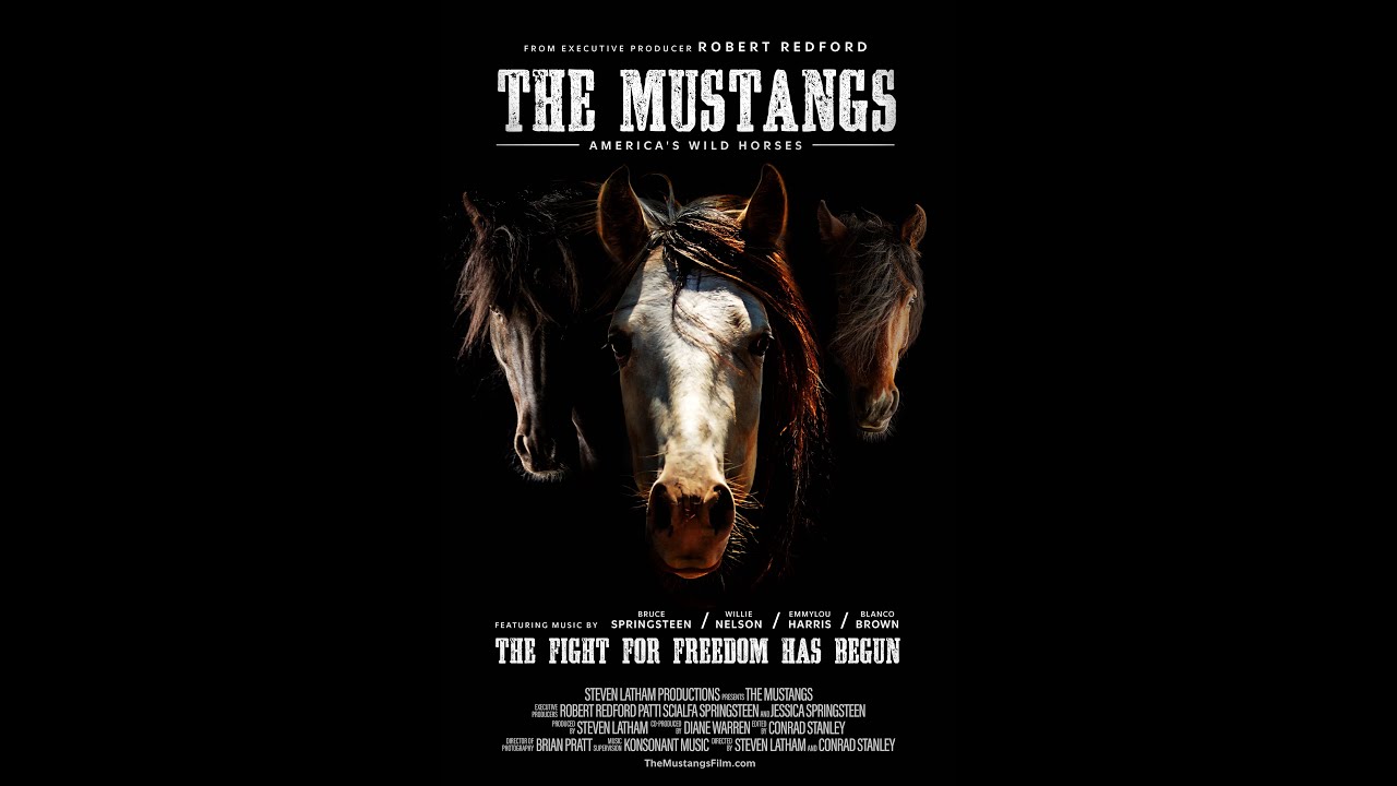 watch The Mustangs: America's Wild Horses Official Trailer