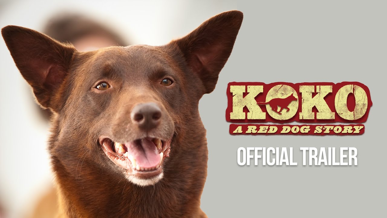 watch Koko: A Red Dog Story Official Trailer