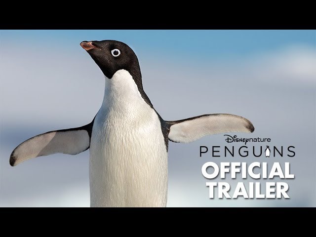 watch Penguins Official Trailer