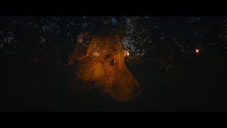 watch trailer
