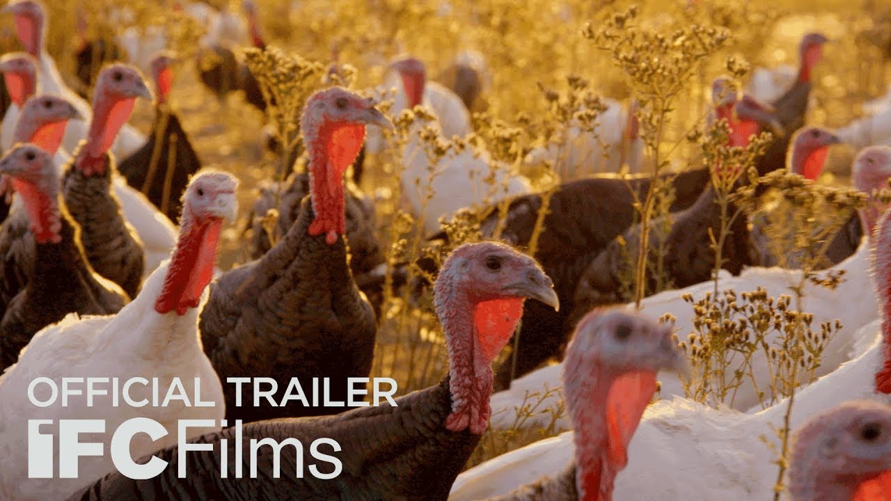watch Eating Animals Official Trailer