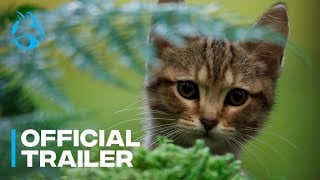 A Cat's Life Official Trailer Movie Clip Image