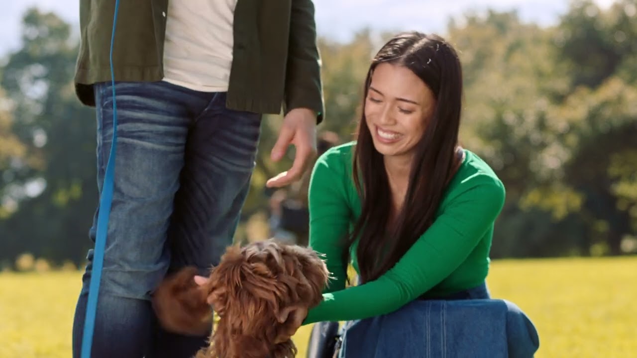 watch Mr. Pawsitively Perfect Official Trailer