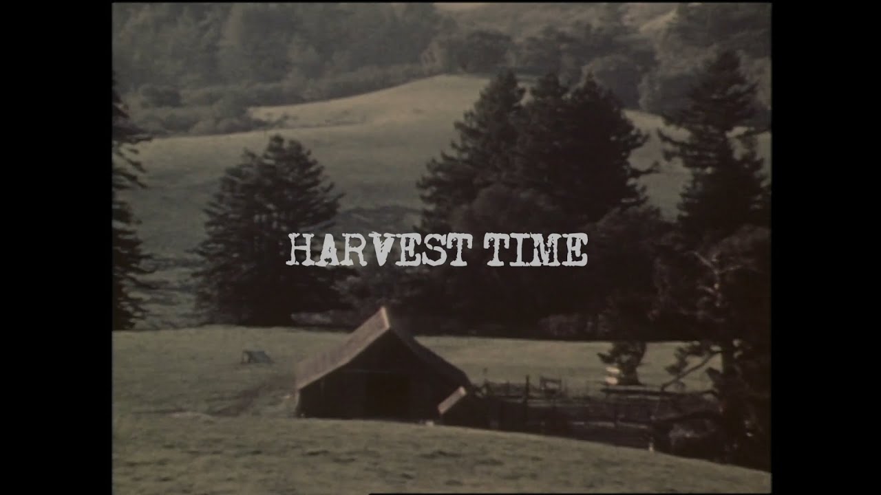 watch Neil Young: Harvest Time Official Trailer