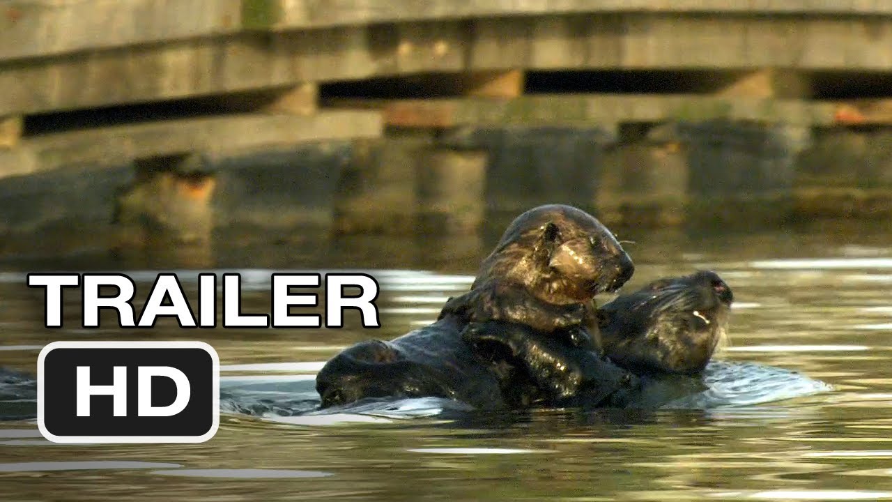 watch Otter 501 Theatrical Trailer