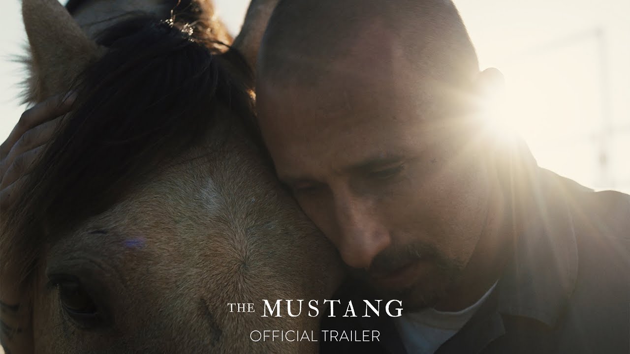 watch The Mustang Official Trailer