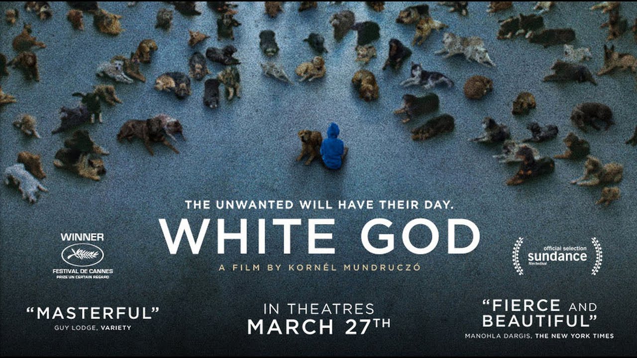 watch White God Theatrical Trailer