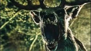 Watch Trailer - id #20360