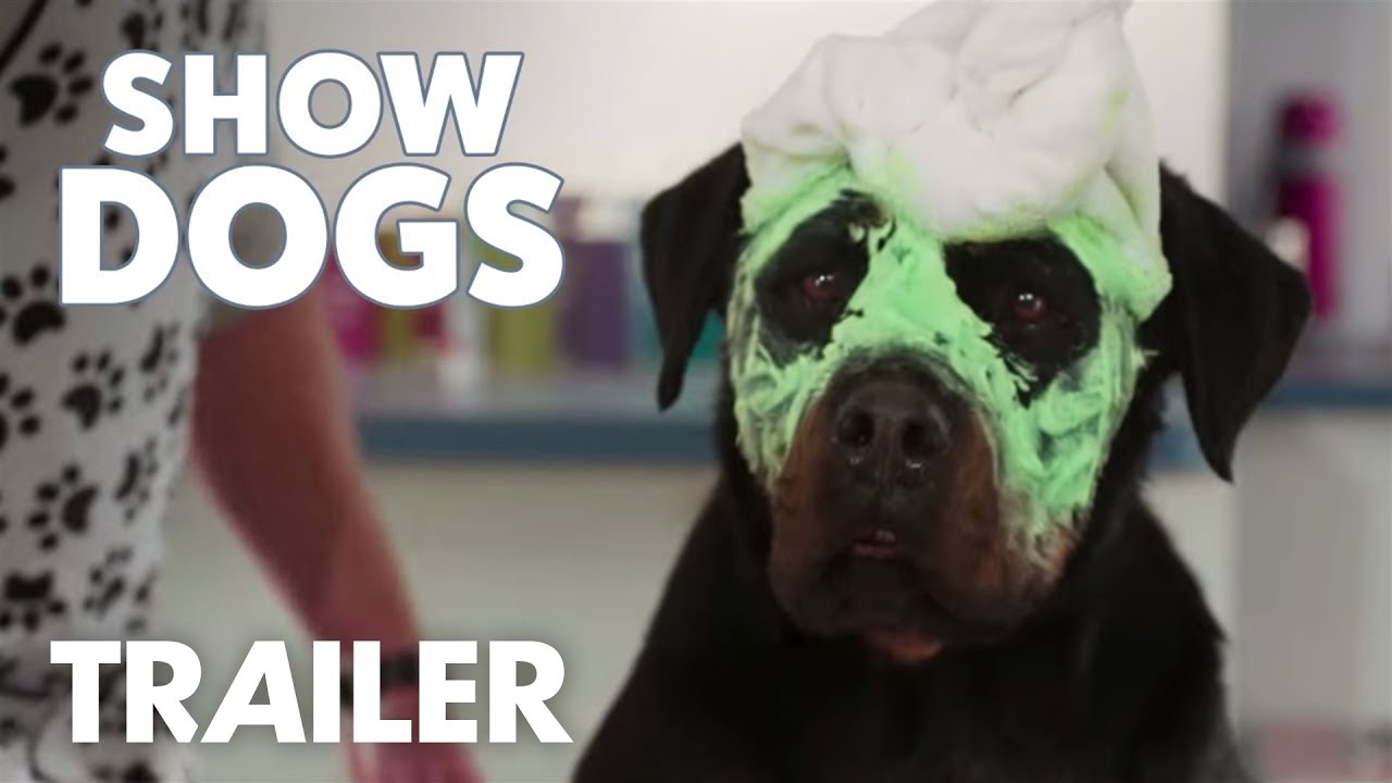 watch Show Dogs Theatrical Trailer #2