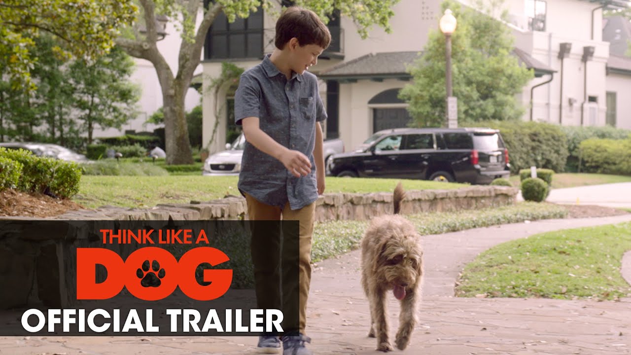 watch Think Like A Dog Official Trailer