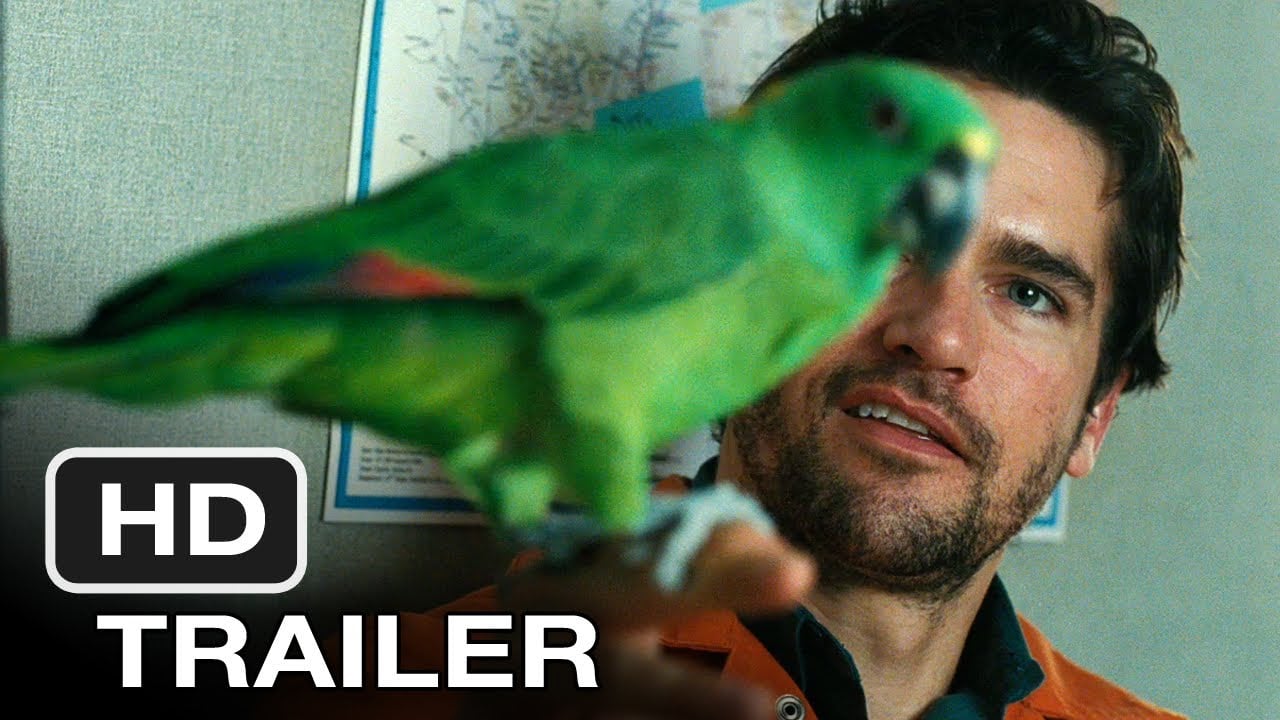 watch A Bird of the Air Theatrical Trailer