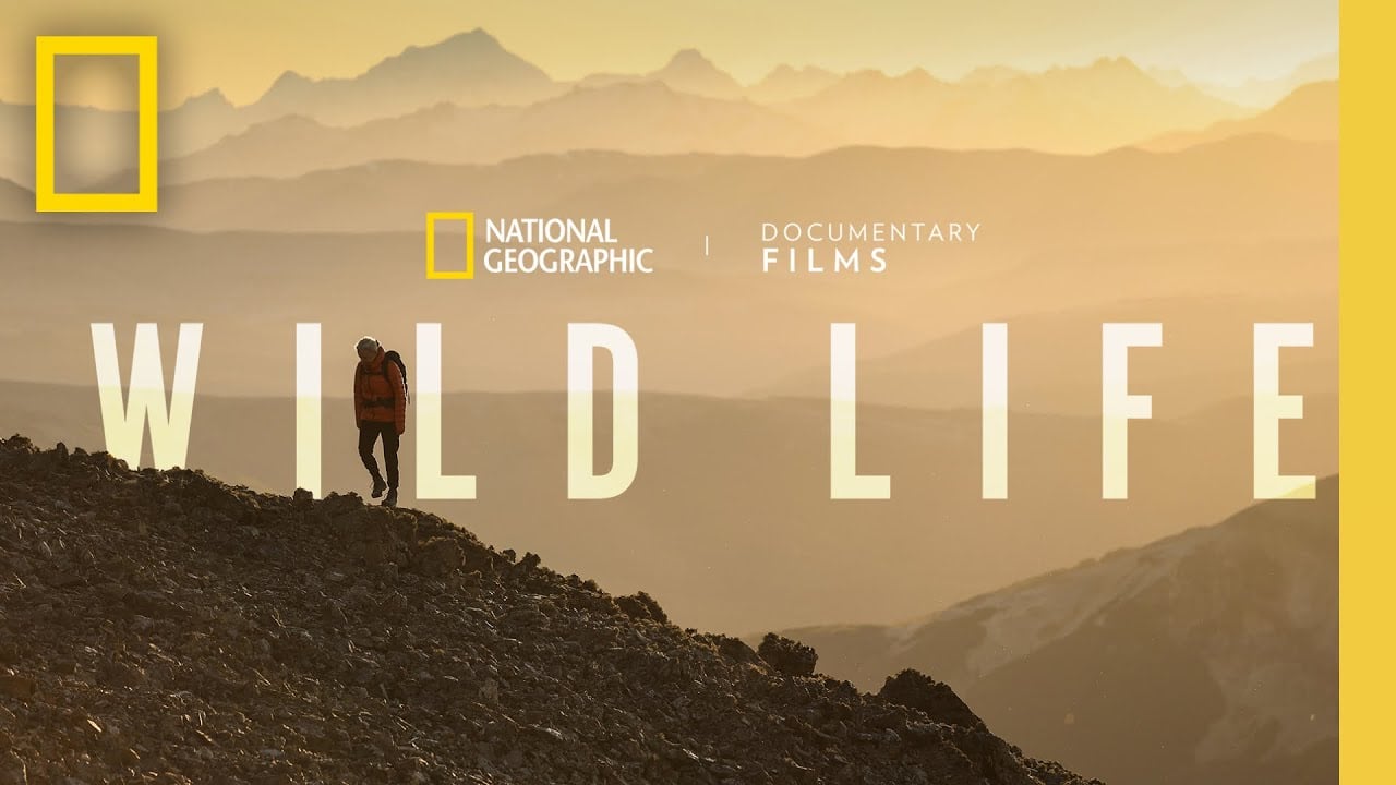 watch Wild Life Official Trailer