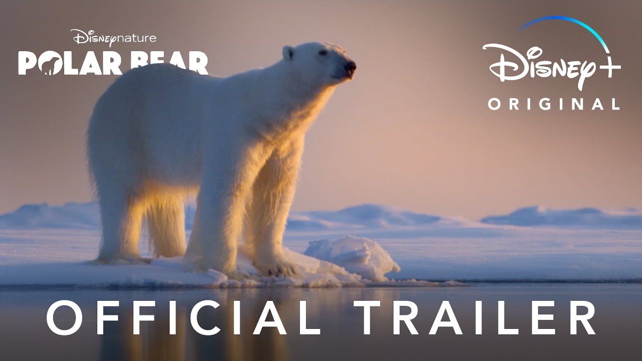 watch Polar Bear Official Trailer